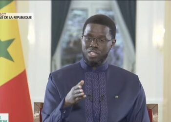 Diomaye Faye : « La direction que prend actuellement Pastef pourrait conduire à sa perte »