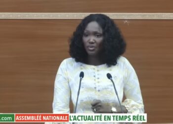 Modification L29 et L30 : Les députés non-inscrits renoncent au recours