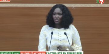 Modification L29 et L30 : Les députés non-inscrits renoncent au recours
