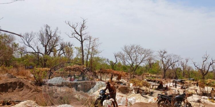 Saraya : Des sites d&rsquo;orpaillage clandestin démantelés