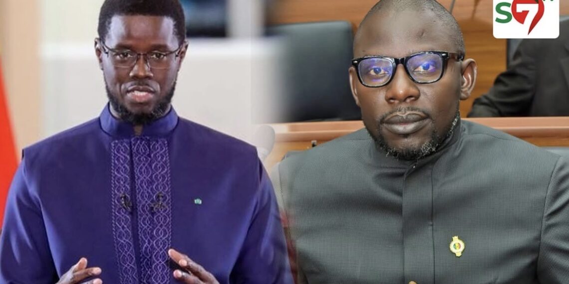Ismaïla Diallo répond à Diomaye : « On ne modifie rien . On confirme la loi votée. C’est tout ! »
