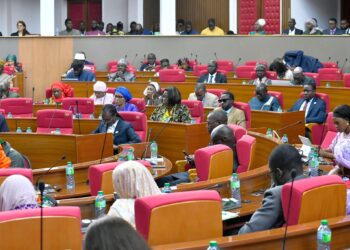 Seconde délibération des articles L29 et L30 : Les Députés en séance plénière, samedi