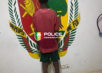Linguère : Interpellation d&rsquo;un individu pour coups et blessures volontaires