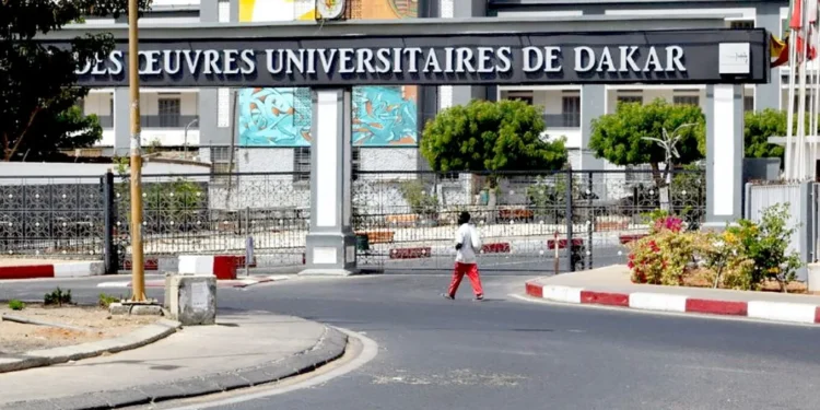 Tabaski 2026-UCAD : Les cours vaqueront le samedi 23 mai à 18h et reprendront le lundi 01 juin à 08h