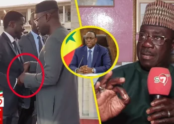 Brouille entre Sonko & Diomaye: Khadim Samb dit ses vérités « Ñiom Niar Sen Takaliko Arrangé Woul réwmi… » (Vidéo)
