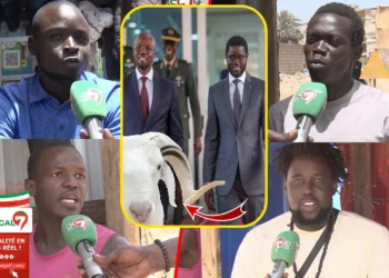 Marché Colobane: Les commerçants expriment leurs inquiétudes à 10 Jours de la fête « Deuk Bi Dara… » (Vidéo)