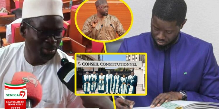 Diomaye Faye saisit le Conseil constitutionnel? Réaction à chaud de Me Tall « Lignouy Deff Tay Lou… » (Vidéo)