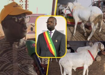 Père Khadim Samb sur le limogeage de Sonko « Diomaye Bima Guiss Bokoul Ak Diomaye Bima Xamone Démb.. » (Vidéo)