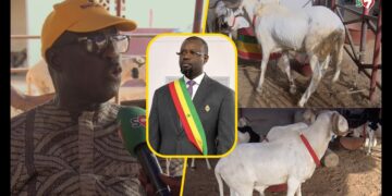 Père Khadim Samb sur le limogeage de Sonko « Diomaye Bima Guiss Bokoul Ak Diomaye Bima Xamone Démb.. » (Vidéo)