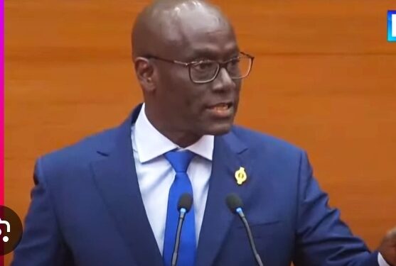 Recours contre la loi réformant les art L29 et L30 : « Il ne manquerait quatre signatures… », (Thierno Alassane Sall)