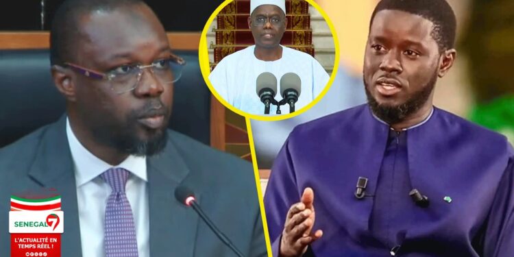 La réplique de Sonko Al Amine Lo : « Pastef n&rsquo;a pas été associée…On ne peut pas faire du Pastef sans Pastef » (Vidéo)