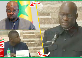 (Video) Les dures vérités d&rsquo;Abass Fall devant Ngagne Demba Touré & cie « Ce Que SONKO Avait Dit… »