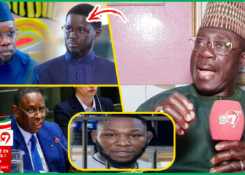 (Video ) Candidature de Macky à l&rsquo;ONU, Meeting DIOMAYE, SONKO, Arr£stati0n de Bebe Diene: les revelations de Khadim Samb