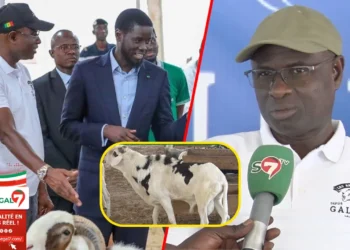 (Video) Opération Tabaski – A la découverte de Abou Kane de la Bergerie GALOYA « Amna Yakarné Diomaye Dina… »