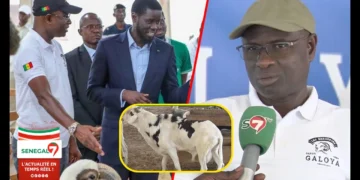 (Video) Opération Tabaski – A la découverte de Abou Kane de la Bergerie GALOYA « Amna Yakarné Diomaye Dina… »