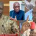 (Video) « Ousmane Sonko Loumouy Doyé huminité ? »: Abdou Mbow lâche une b0mbe « Meunatoul Nieuwat Assemblée… »