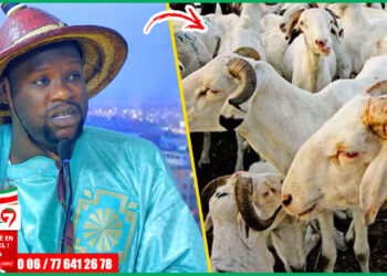 (Video) À quelques jours de la Tabaski, Serigne Modou Asta Mbacké dévoile les secrets & les bienfaits cachés du mouton…