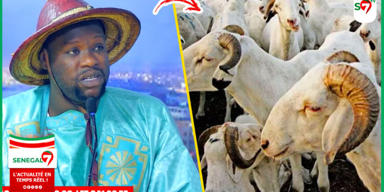 (Video) À quelques jours de la Tabaski, Serigne Modou Asta Mbacké dévoile les secrets & les bienfaits cachés du mouton…