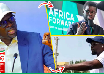 (Video) Participation de DIOMAYE au Congres de Pastef?: la replique cash de Me Tall « Mom Mo Wakhone Né… »
