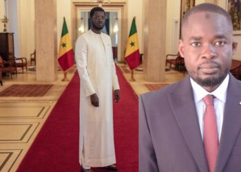L’élargissement de la saisine de la Cour constitutionnelle aux organisations de défense des droits humains, (Par Babacar Ba)