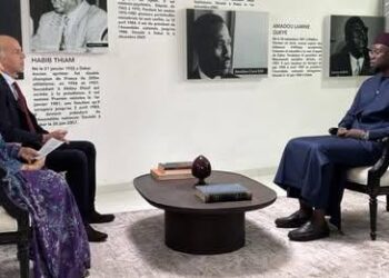 France24-RFI et Sonko : « L&rsquo;interview n&rsquo;a servi qu&rsquo;à renforcer les lignes de conflits », selon Adama Gaye