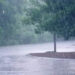 Météo : l’ANACIM annonce des pluies dans 15 localités ce samedi