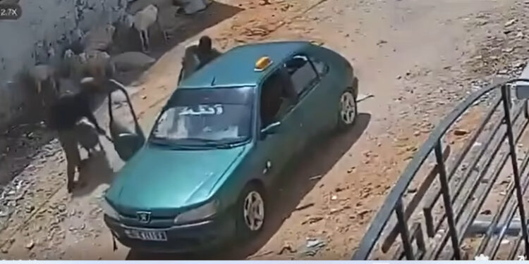 Touba : deux présumés voleurs de bétail arrêtés, une brebis retrouvée