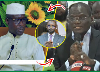 « Sonko Mo Beugone Ñou Reporté Election Yi » Babacar Vorore Pastef écrase Ass « Dama Yeureum Ndiabotam » (Vidéo)