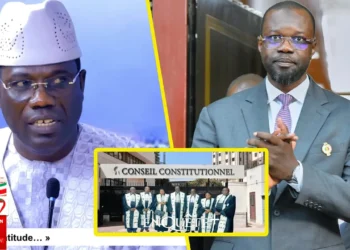 Décision du conseil constitutionnel: Bara Dolly lâche une bonne nouvelle pour Sonko (Vidéo)