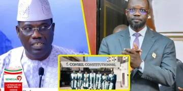 Décision du conseil constitutionnel: Bara Dolly lâche une bonne nouvelle pour Sonko (Vidéo)