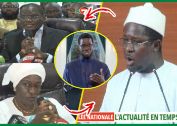 Cheikh Bara Ndiaye chauffe l&rsquo;assemblée et déshabille gravement Mimi Touré et Ass (Vidéo)