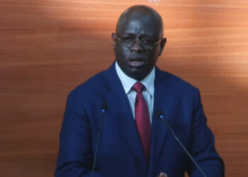 Cheikh Diba rassure les députés « La position de l’état du Sénégal n’a pas varié sur la dette » (Vidéo)