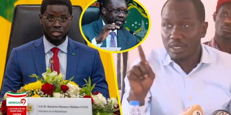 Révision Constitutionnelle: Djiby NFFA charge Diomaye »Il Est Plus Dangereux Que Sonko…Il A Trahit… » (Vidéo)