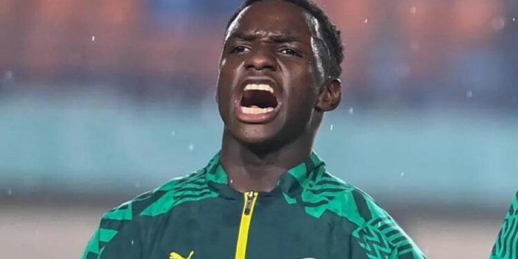 Fenerbahçe tient son joyau : Amara Diouf a passé sa visite médicale avec succès