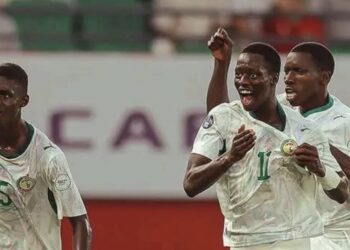 Thierno Bocoum aux Lionceaux, Champions d’Afrique : « vous offrez au Sénégal de la fierté »