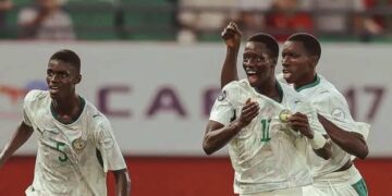 Thierno Bocoum aux Lionceaux, Champions d’Afrique : « vous offrez au Sénégal de la fierté »