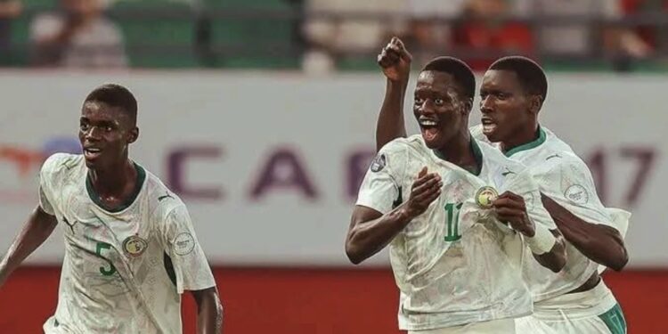 Thierno Bocoum aux Lionceaux, Champions d’Afrique : « vous offrez au Sénégal de la fierté »