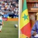 Bassirou Diomaye FAYE après la défaite des Lions : « La Nation reste pleinement à vos côtés »