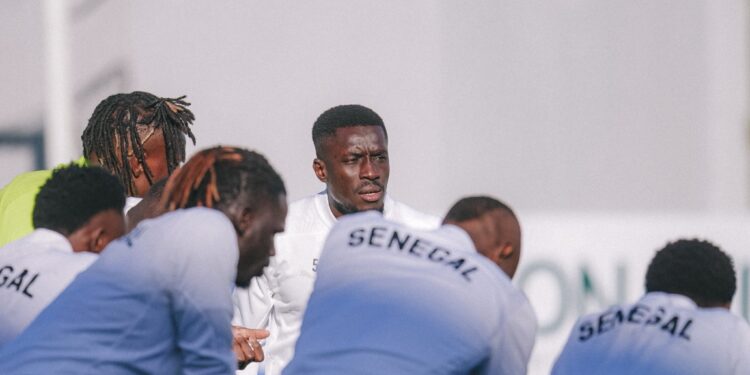 Mondial 2026 : Primes, hébergement, sélectionneur sans contrat… situation inédite des Lions aux USA
