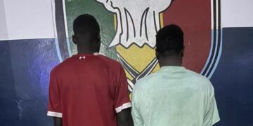 Darou Marnane : Deux individus interpellés pour vol de bétail