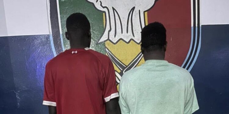 Darou Marnane : Deux individus interpellés pour vol de bétail