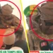 Passation de Service : Les adieux émouvants de Khady Diene Gaye (Vidéo)