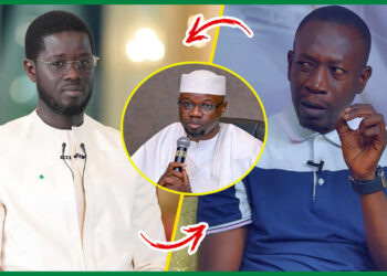 « Referendum Dafa Ame Ay Risque Youssi Nék… » Abdoulaye Mbow Alerte et envoie un message à Diomaye (Vidéo)