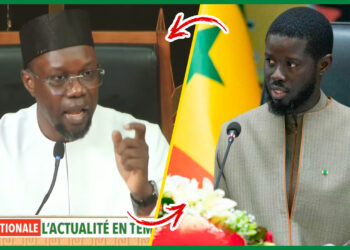 Diomaye renvoie le texte au référendum : Ousmane Sonko pousse un gros coup de gueule (Vidéo)