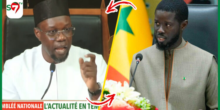 Diomaye renvoie le texte au référendum : Ousmane Sonko pousse un gros coup de gueule (Vidéo)