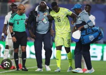 Blessure contre la Norvège : Édouard Mendy souffre de…