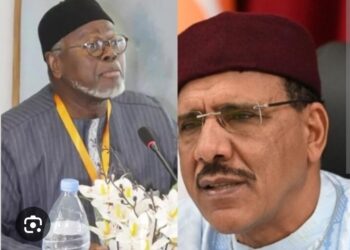Niger : Alioune Tine réclame la libération de Mouhamed Bazoum