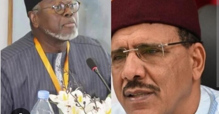 Niger : Alioune Tine réclame la libération de Mouhamed Bazoum