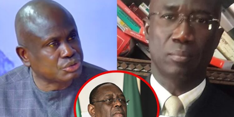 Justice : Seydi Gassama sort deux gros dossiers pour Me Moussa Sarr