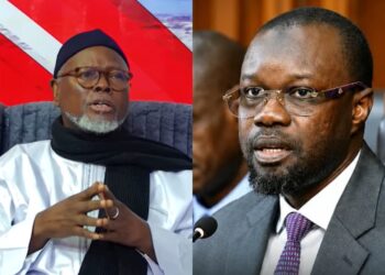 Alioune Tine : « Paradoxalement, Pastef divisé distribue les rôles et les pouvoirs… »
